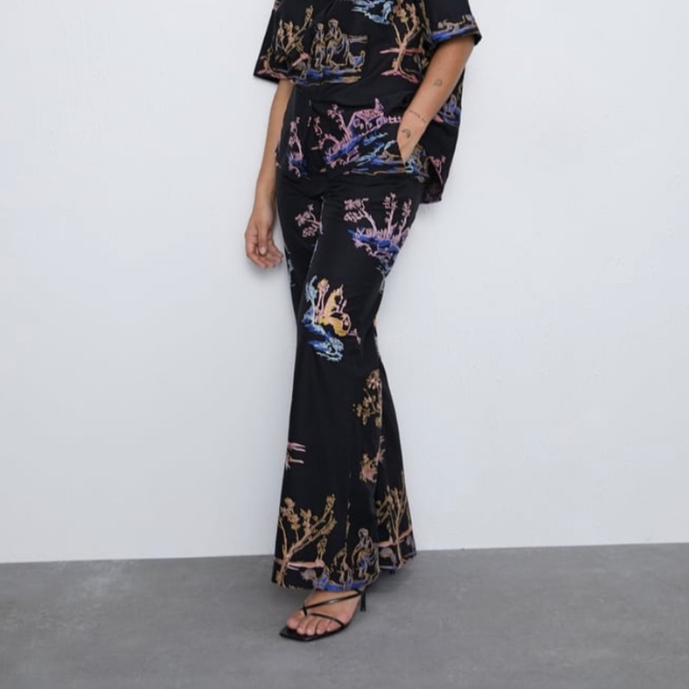 Zara embroidered pants
